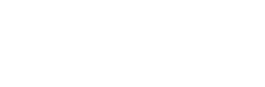 Consulent Express